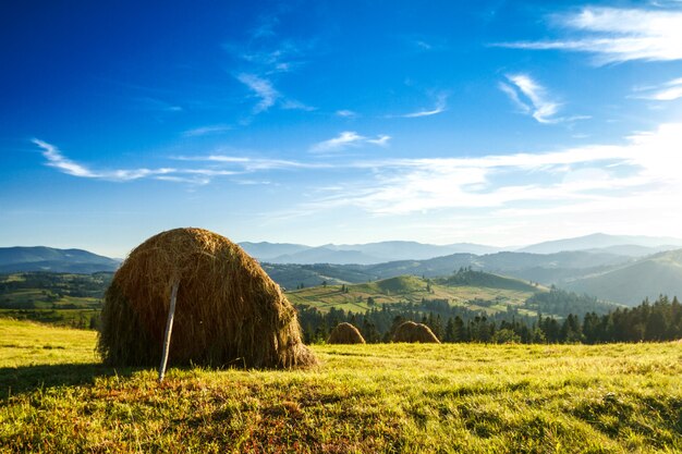 Beautiful landscape of haystacks in field.