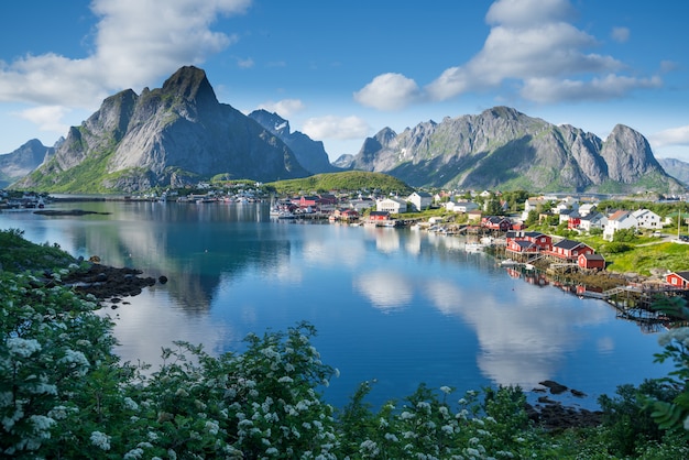 夏には ノルウェーのロフォーテン諸島の美しい風景 プレミアム写真 夏には ノルウェーのロフォーテン諸島の美しい風景 プレミアム写真