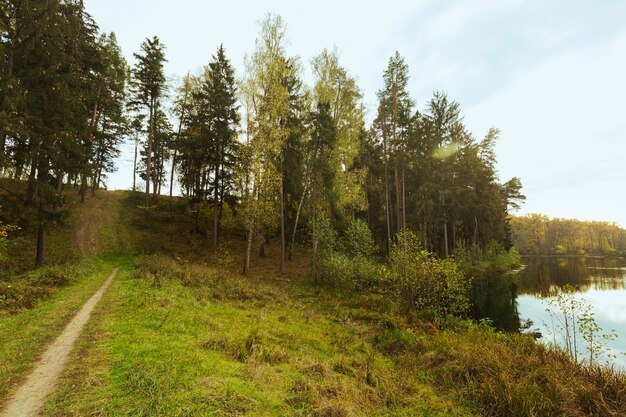 beautiful landscape of mother nature
