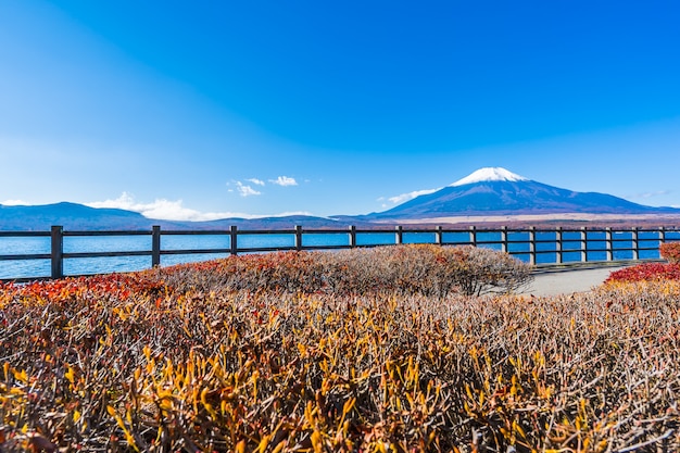 山中湖周辺の富士山の美しい風景