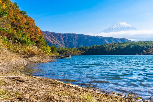 湖の周りのカエデの葉の木と山富士の美しい風景