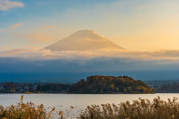 Красивый пейзаж горы Фудзи