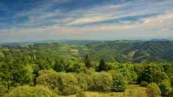 Foto gratuita bellissimo paesaggio in montagna in estate