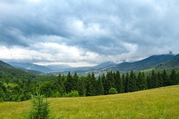 Бесплатное фото Красивый пейзаж украинских карпат