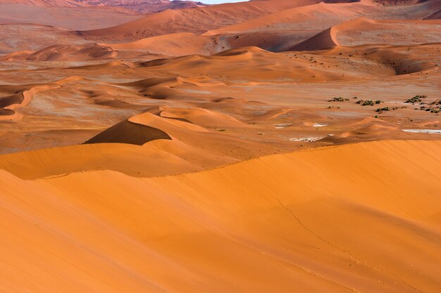 Красивый ландшафт песка оранжевой песчанной дюны оранжевого на пустыне Namib в национальном парке Sossusvlei Namib-Naukluft в Намибии.