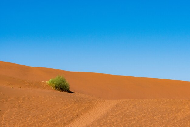 ナミビアのナミブナウクルフト国立公園ソススフレイのナミブ砂漠にあるオレンジ色の砂丘のオレンジ色の砂の美しい風景。
