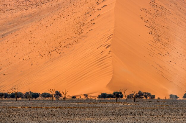 나 미 브 Naukluft 국립 공원 나미비아에서 Sossusvlei에서 나 미 브 사막에서 오렌지 모래 언덕 오렌지 모래의 아름 다운 풍경.