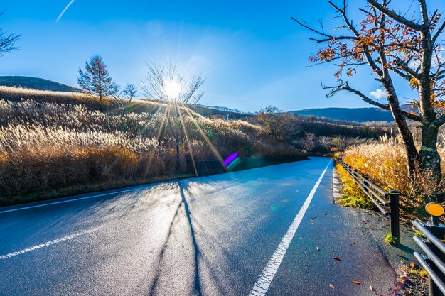 Beautiful landscape of road side around mountain fuji 