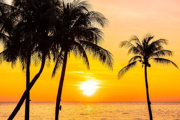 Beautiful landscape of sea ocean with silhouette coconut palm tree at sunset or sunrise