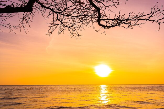 日没または日の出のシルエットのココヤシの木と海の海の美しい風景