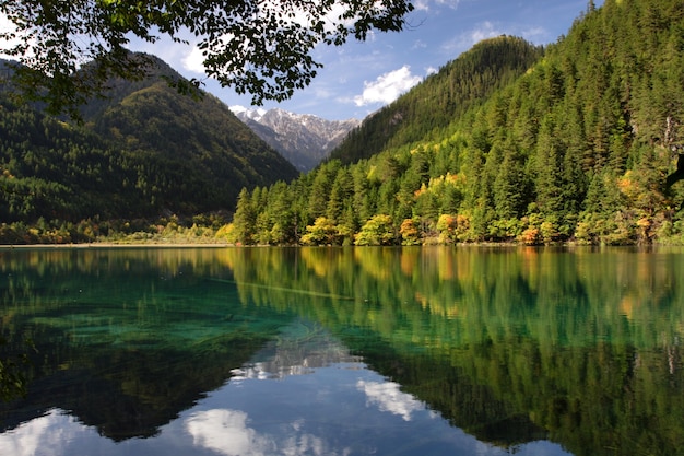 中国の九寨溝国立公園の湖と緑の山々の美しい風景写真