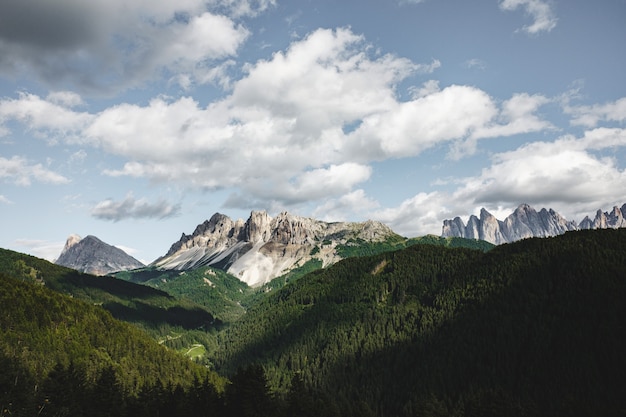 Beautiful landscape shot of mountains covered in evergreen forests and white peaks during the day