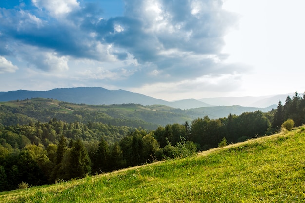 Beautiful landscape of summer Carpathian mountains