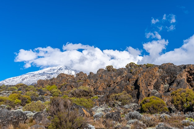 Free photo beautiful landscape of tanzania and kenya