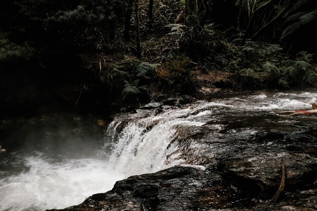 Beautiful landscape of a waterfall in a forest surrounded by fog and trees on a rainy day