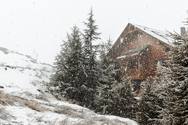 Beautiful landscape with chalet