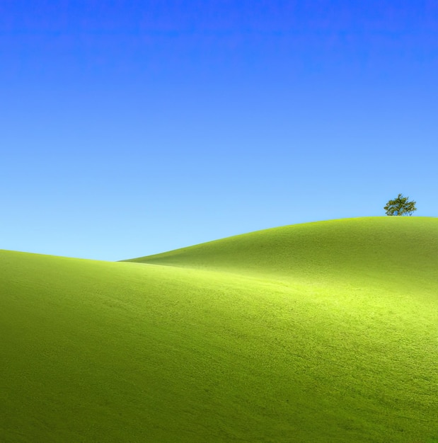 Bellissimo paesaggio con campo di erba verde e albero solitario ai generativo