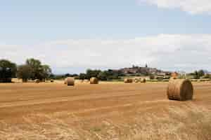 Free photo beautiful landscape with hay