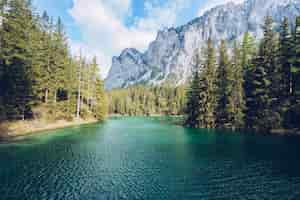 Foto gratuita splendido paesaggio con un lago in una foresta e un'alta montagna rocciosa incredibile