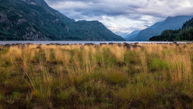 Free photo beautiful landscape with mountains