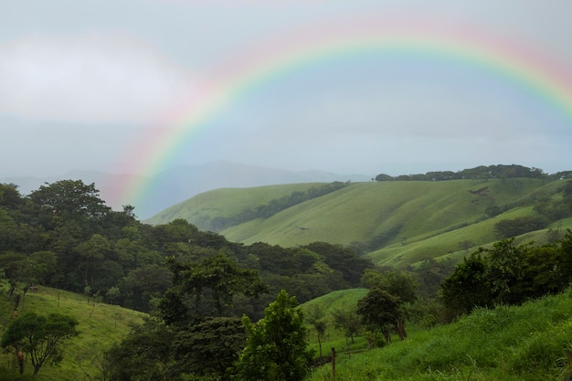 Free photo beautiful landscape with rainbow and green hills