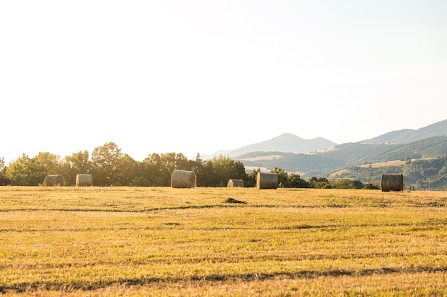 Beautiful landscape with rolls of hays in field
