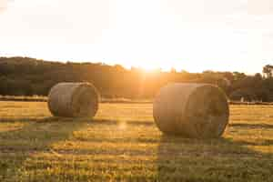 Foto gratuita bellissimo paesaggio con rotoli di fieno e tramonto