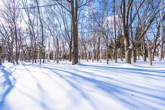 Красивый пейзаж с деревом в снежный зимний сезон