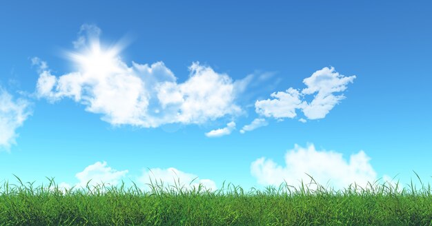 3D визуализации зеленой траве и голубое небо