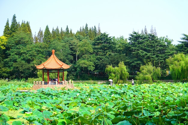 美しい風景