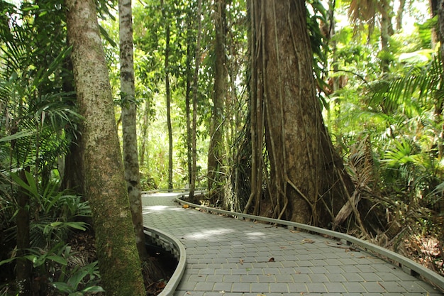 美しい風景