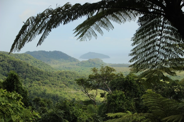 美しい風景