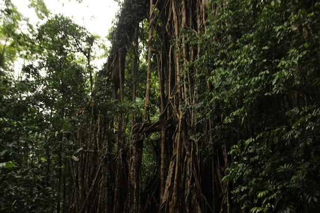 美しい風景