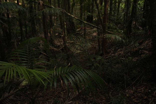 美しい風景