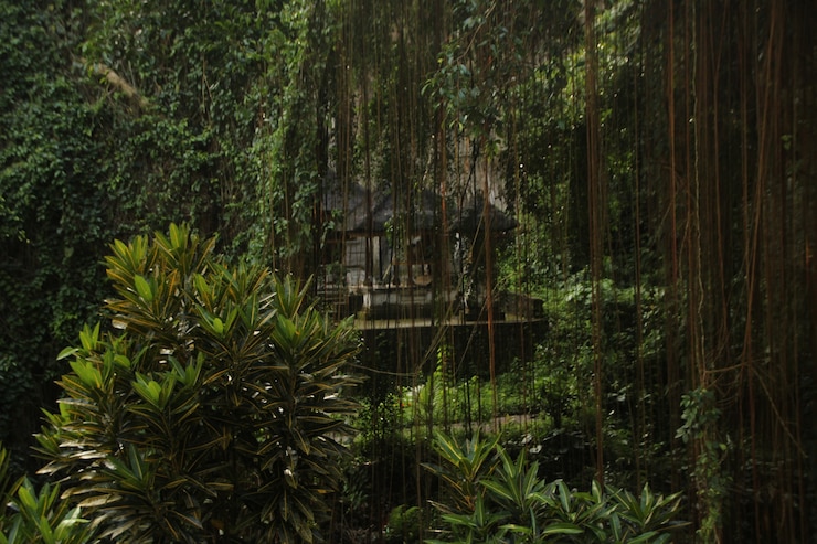 美しい風景