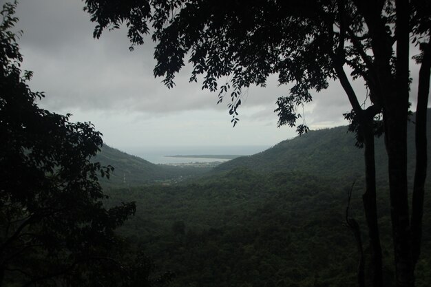 美しい風景