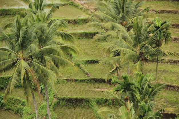 美しい風景