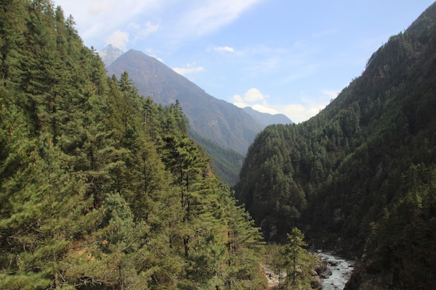 美しい風景