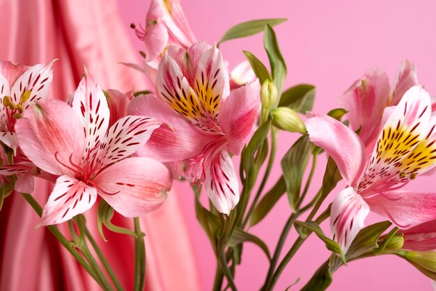 Красивые лилии на розовом фоне