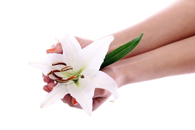 Красивый цветок лилии в руках женщины