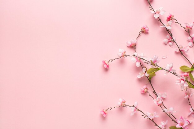 Красивые маленькие розовые цветы ветви