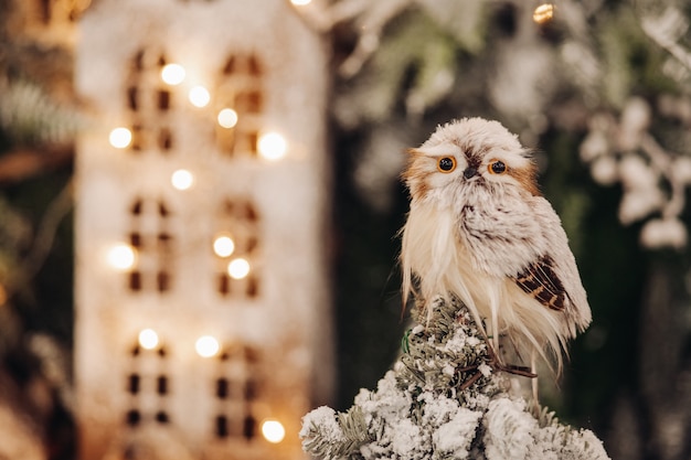 Foto gratuita bellissimo piccolo gufo bianco su un albero con molte luci sullo sfondo