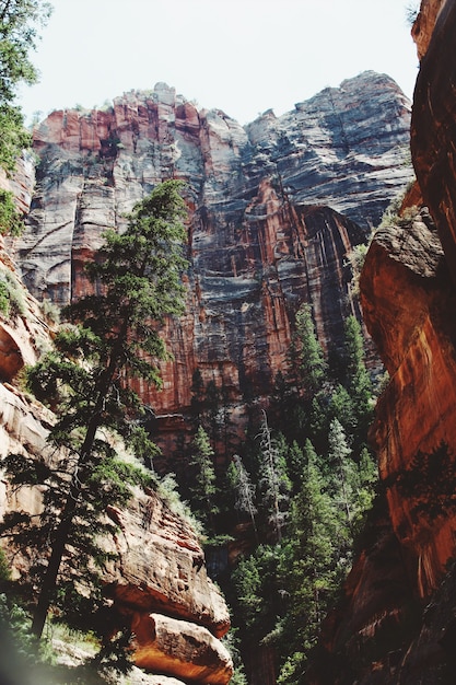 Beautiful low angle shot of a cliff in Zion national park during daytime