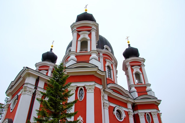 Free photo beautiful low angle shot of the famous curchi monastery in moldova