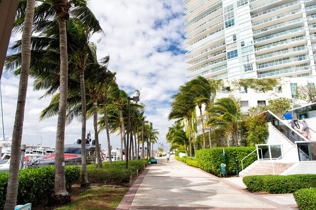 アールデコ​建築​または​ホテル​の​建物​と​ヤシ​の​木​の​緑​の​風​の​強い​屋外​の​美しい​マイアミ​ビーチ​の​街並み