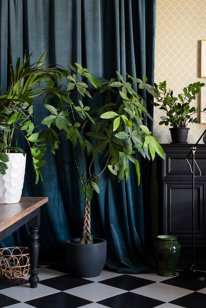 Beautiful and modern plants deco