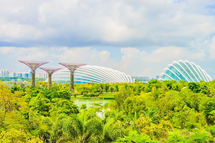 Singapore Botanic Gardens