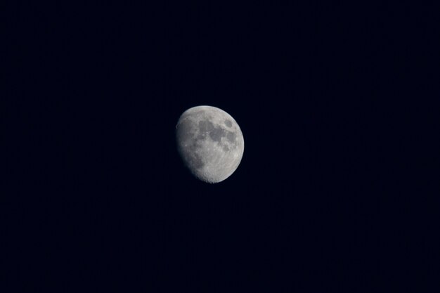 Beautiful moon in the black night sky