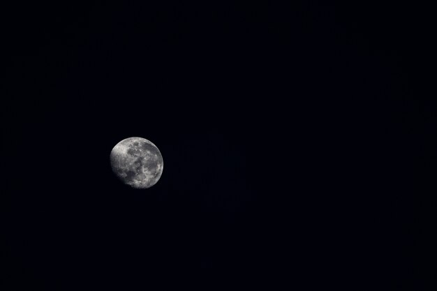 暗闇の中でキラリと光る美しい月