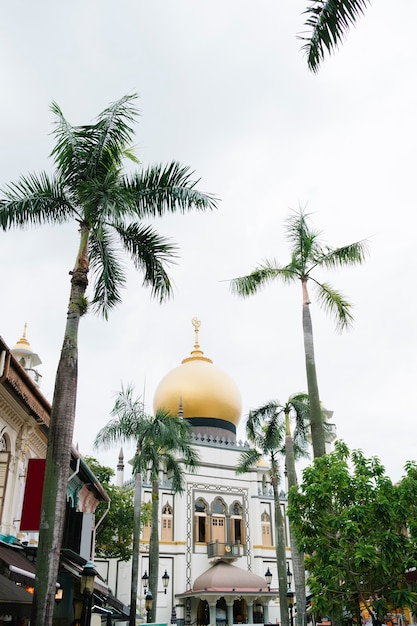 beautiful Mosque and palm tree in Singapore